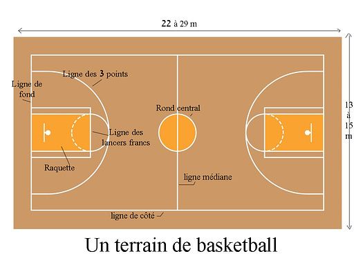 Le terrain - Un oeil sur le basket