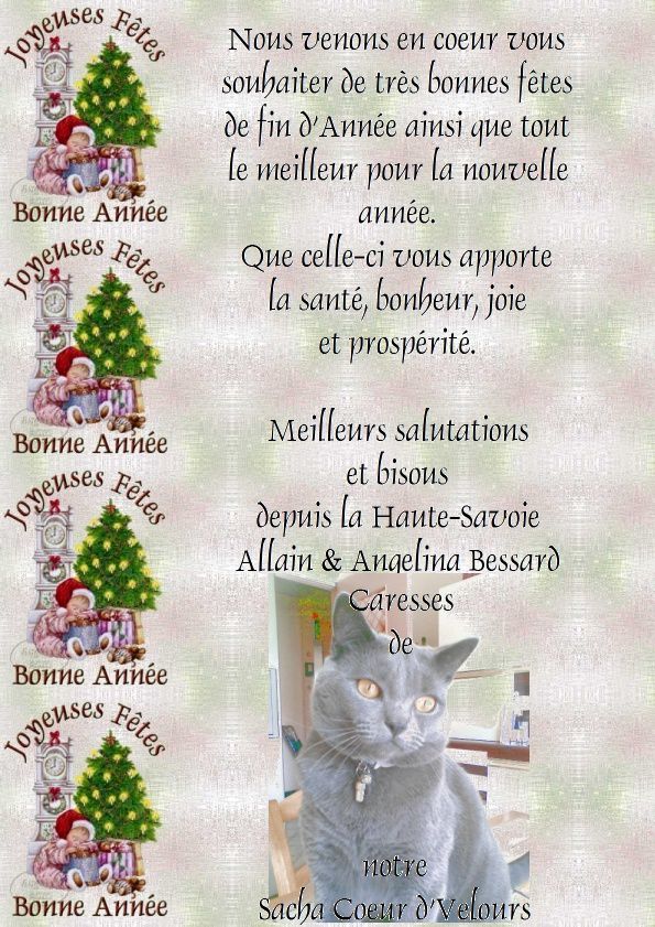 Joyeuses Fêtes Bonne Année a tous mes visiteurs & amis - Le blog de  Angelina's collection de recettes