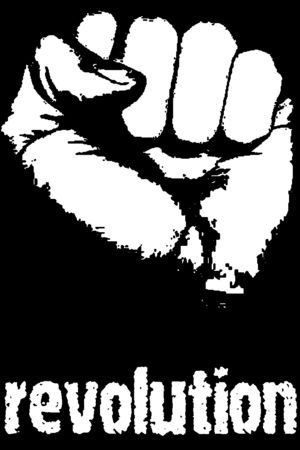 revo-copie-2.jpg