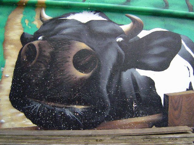 69 - Lyon - la vache sans le prisonnier