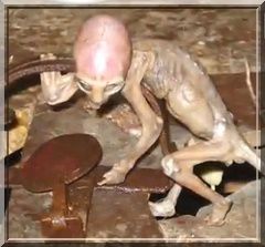 ET-est-mort-enfant-bebe-extraterrestres-aliens-2011-2012-.jpg