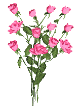 bouquet-de-fines-roses-roses.gif