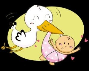 bebe-cigogne.jpg
