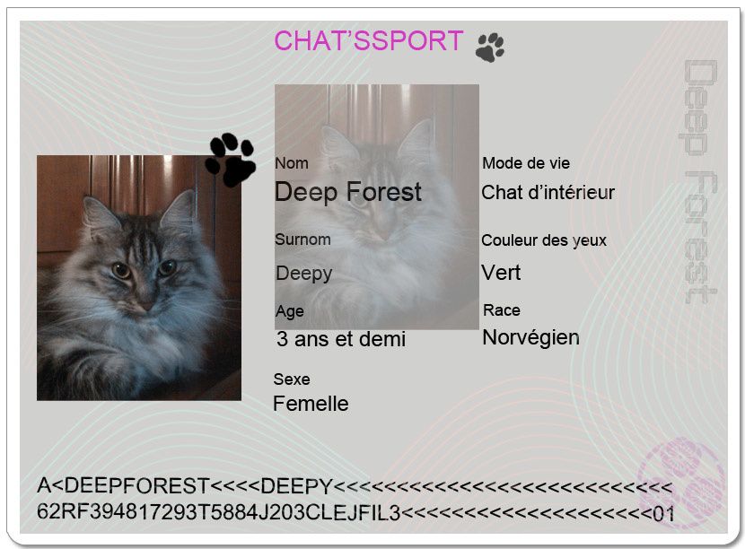 forest chatrooms Chat with thousands of people in minnesota who are online right now - page 4. forest chatrooms Chat with thousands of people in minnesota who are online right now - page 4.