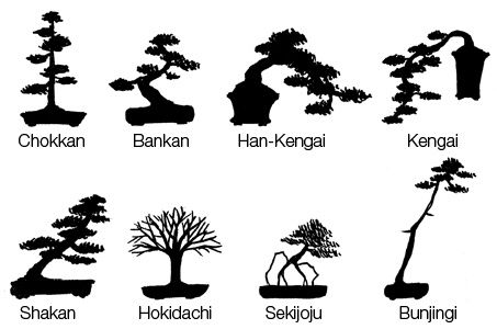 bonsai-style.jpg