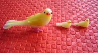 oiseaux.jpg