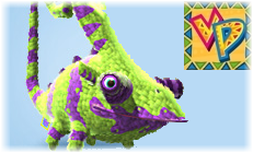 2-copie-30.png