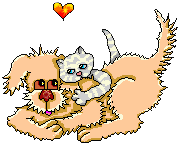 A chat4