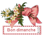 JOURbondimanche2bouquet rose pâle