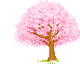 jardin.arbre fleurs