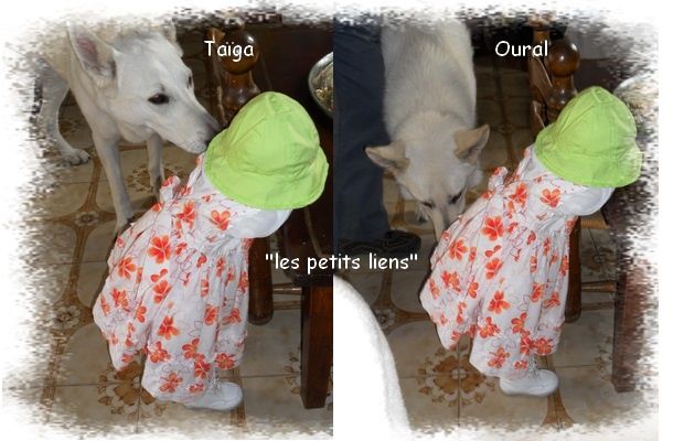 bb rencontre