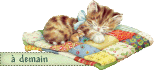 A DEMAIN chaton souris plaid
