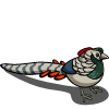 Pheasant.png