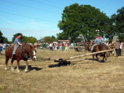 manège chevaux 2009