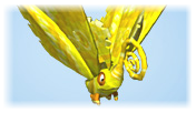 flutter-copie-8.png