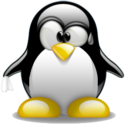 hardwiigamer-tux-canicule-3529.png