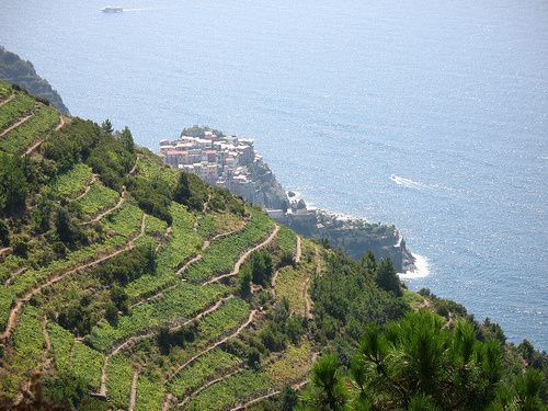 Nationalpark Cinque Terre