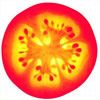 tomate