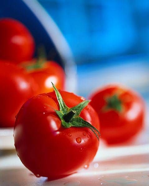 tomate1