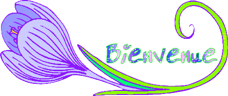 32c4915daa BIENVENUE5