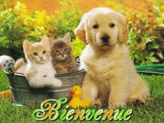 7l6s3vmgux8 Bienvenue3