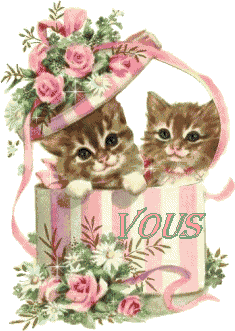 chatons-bonjour.gif