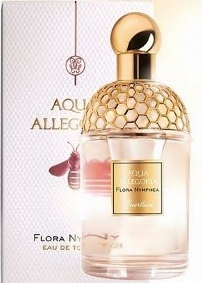 aqua-allegor.jpg