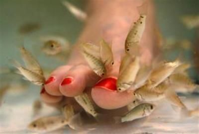 fishthera.jpg