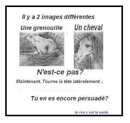 cheval....