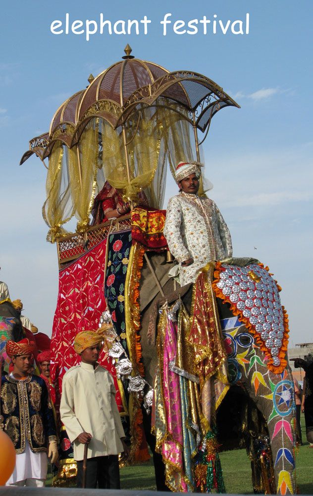 elephant-festival