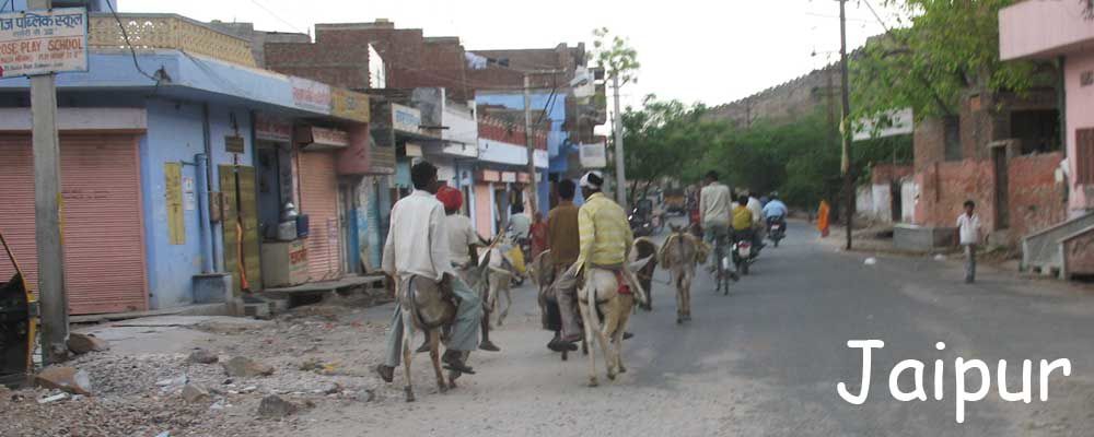 ânes Jaipur