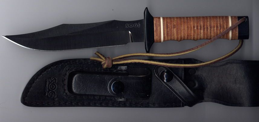 sog_bowie.jpg