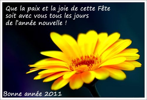 bonne-annee-fleur.jpg