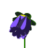 null natu29.gif
