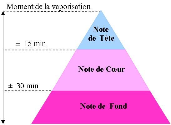 pyramide-olfactive-jpg.jpg