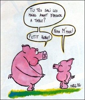 dessins-humoristiques-cochons.jpg