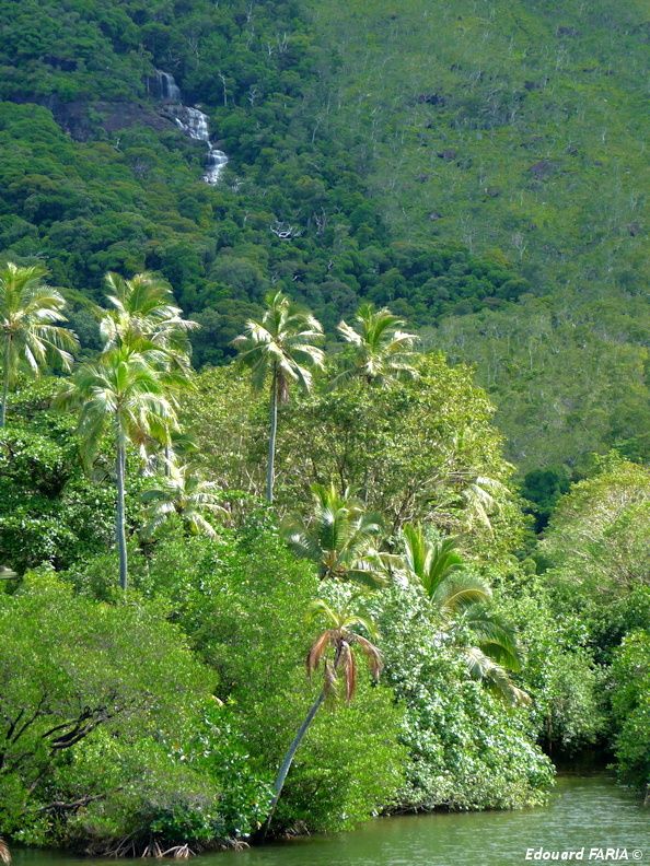 Paysage Mont panié