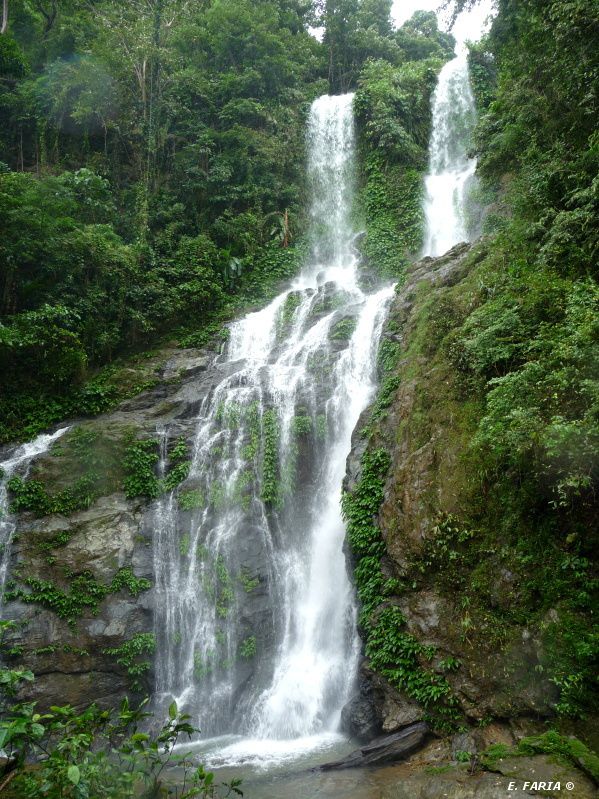 Tamara falls, Mindoro, Philippines.