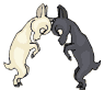 4-gif-chevre-naine.gif