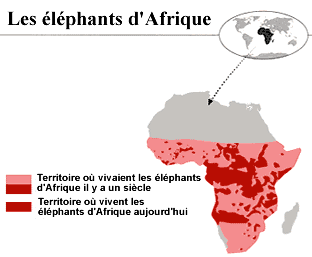 carte_elephant_afrique.gif