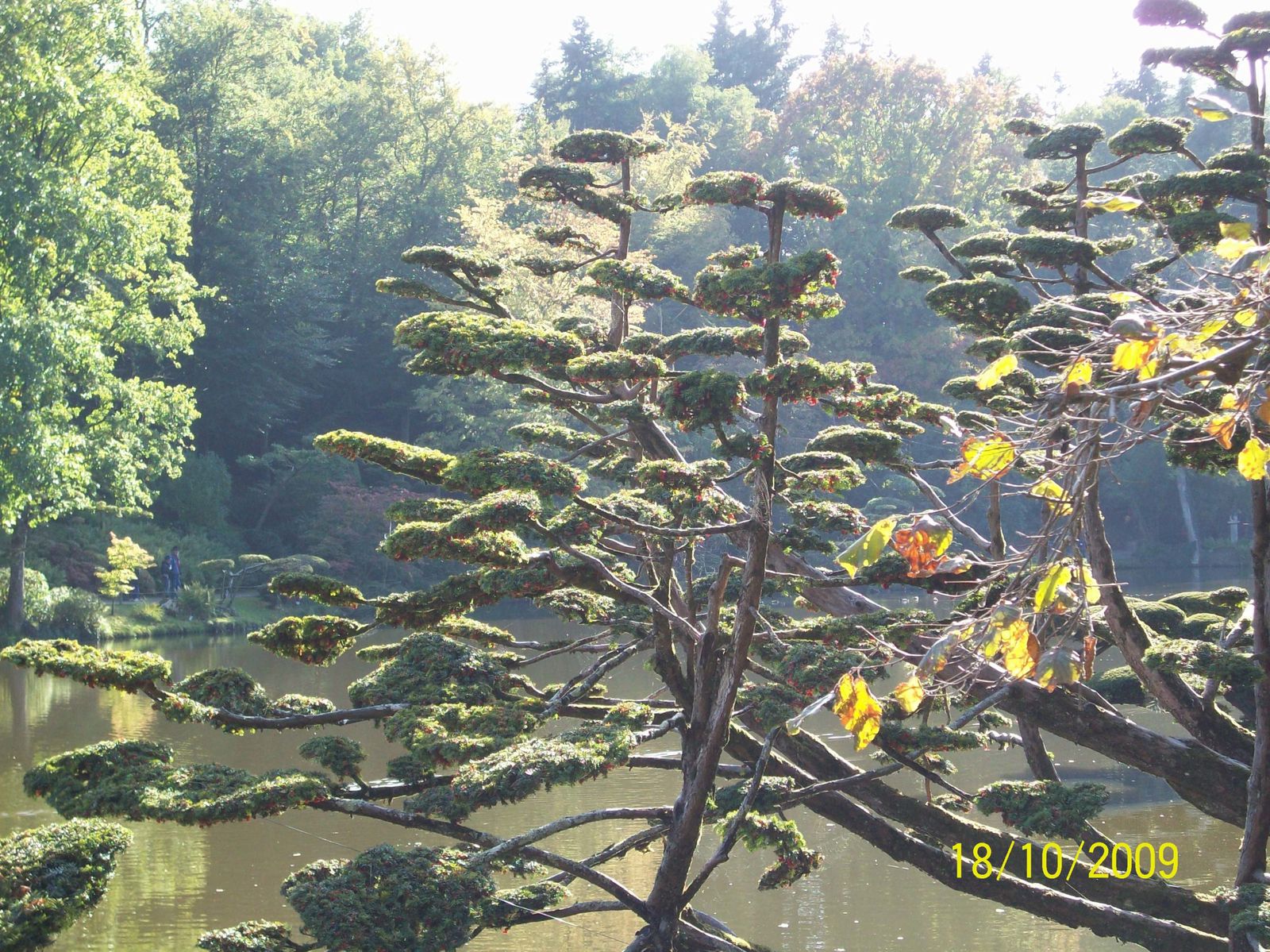 L'art sacré du plus grand jardin japonais d'Europe.