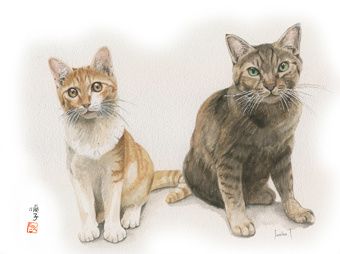2 chats