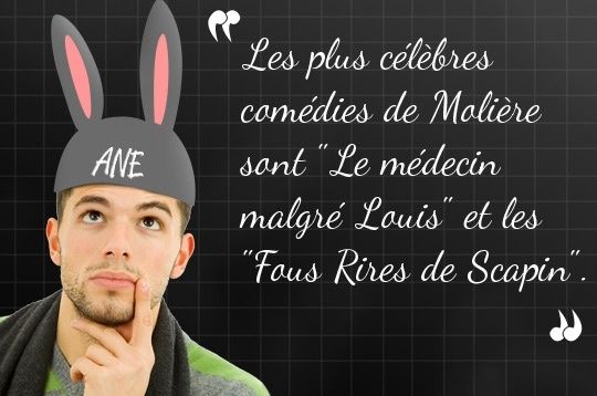 perles-bac-malgre-louis-903038.jpg