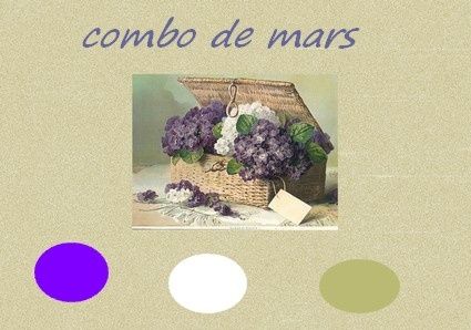 combo mars FDS