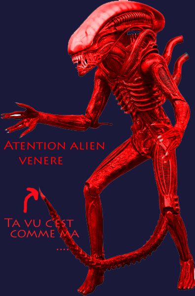 alien10-copie.jpg