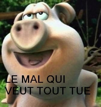 cochon-fou.JPG