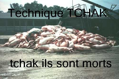 cochon 020 tchak