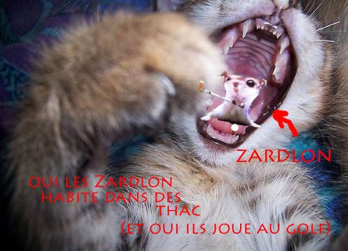zardlon.jpg