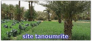 Tanoumrite (2)