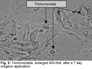 comment traiter trichomonas